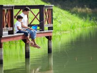 Güvenli Gelecek Sigortası