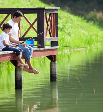 Güvenli Gelecek Sigortası